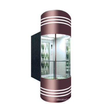 Fjzy Panoramic Cheap Elevator-Ascensor2048